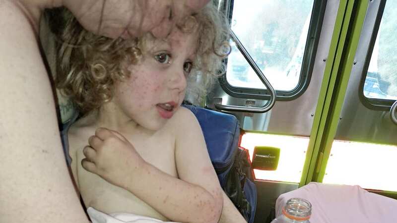 A volunteer in the search spotted the 2-year-old boy alive and well (Image: Hernando County Sheriff’s Office)