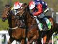 Newsboy's ITV Racing tips for Kempton, Newcastle and Lingfield qhidqhituiquuinv