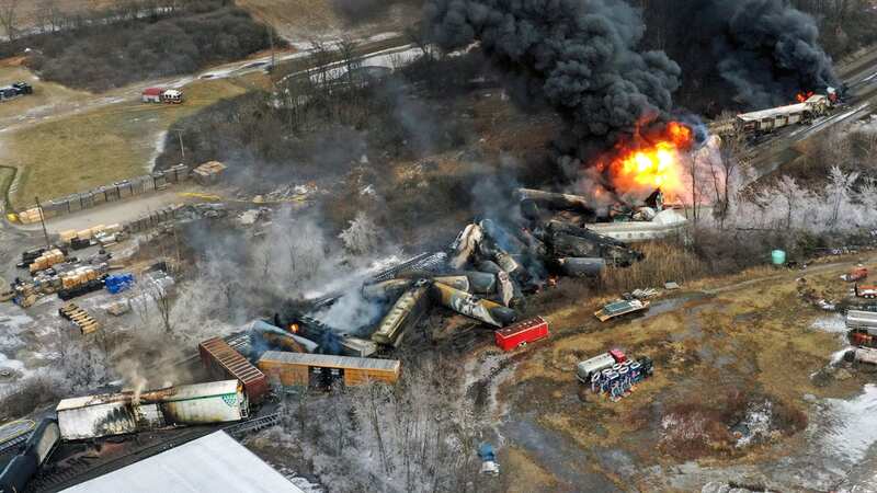 Around 45,000 animals died after the train crash in Ohio released toxic chemicals (Image: AP)