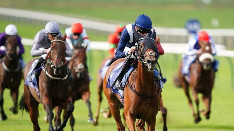 Commissioning was the leading British candidate for the 1,000 Guineas (Image: PA)