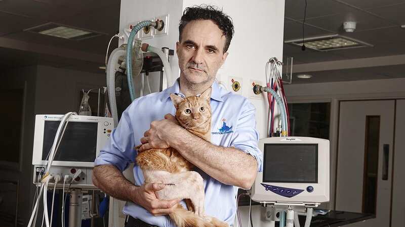 Supervet Noel