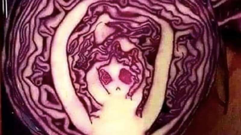 The alien appeared when she chopped the cabbage (Image: Jam Press)