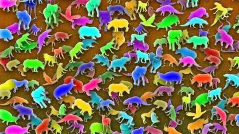 People are desperately trying to find the giraffe in the picture (Image: Playbuzz)