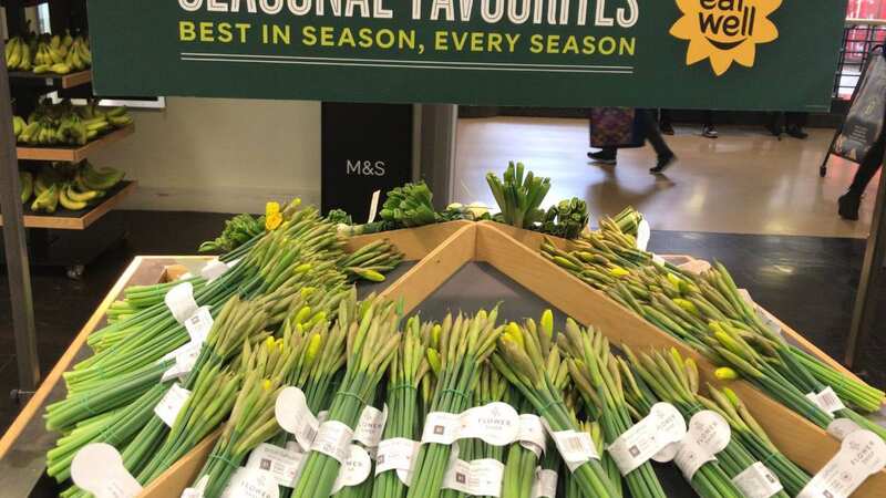 The daffodils were displayed under an 