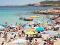 Ibiza put on dengue fever alert after tourists catch disease on holiday island eiqruiddhidrtinv