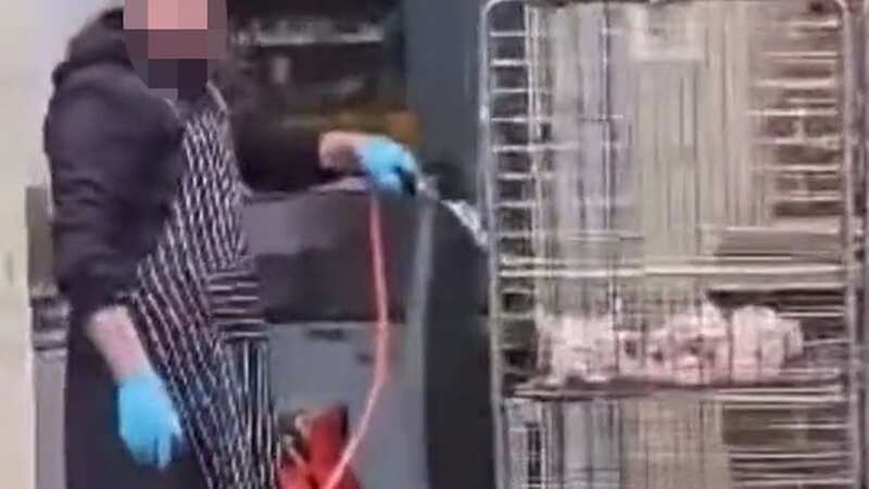 Takeaway caught cooking chicken with blow-torch in shopping trolley down alley