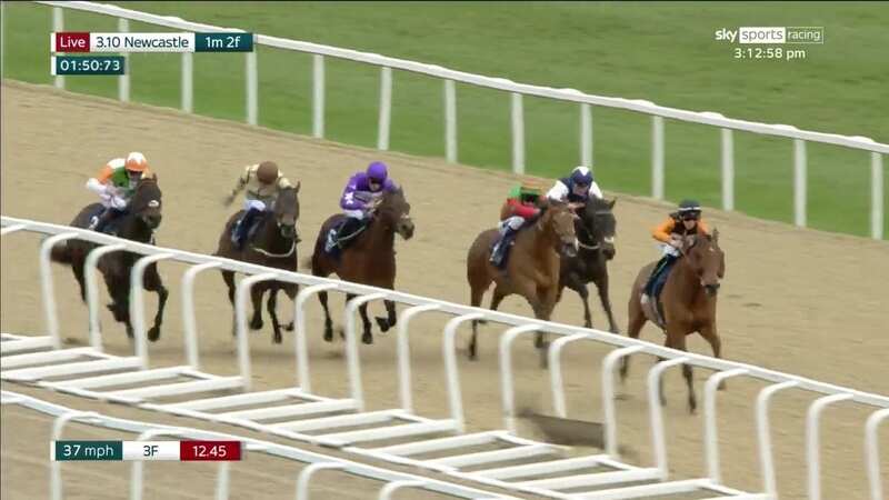 A deer runs across the track as Billy Loughnane rides another winner at Newcastle (Image: @AtTheRaces/Twitter)