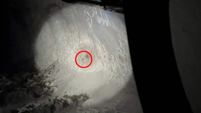 A rescue helicopter was able to spot the missing hiker in the snow (Image: Air-Glaciers – Mathieu Lambert / SWNS)