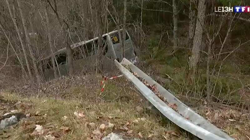 The bus left the road and went down the wooded slope (Image: TF1)