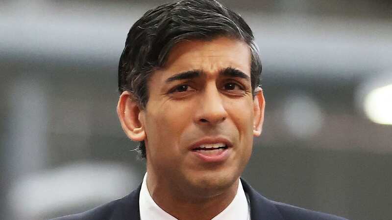 Rishi Sunak has been busy hyping up his Northern Ireland deal this week (Image: POOL/AFP via Getty Images)
