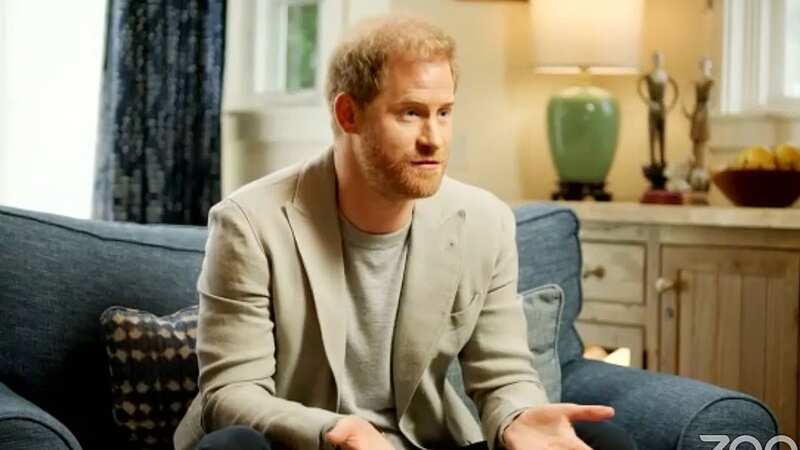 Prince Harry made the comments to Dr Gabor Mate during a livestream event (Image: Zoom)