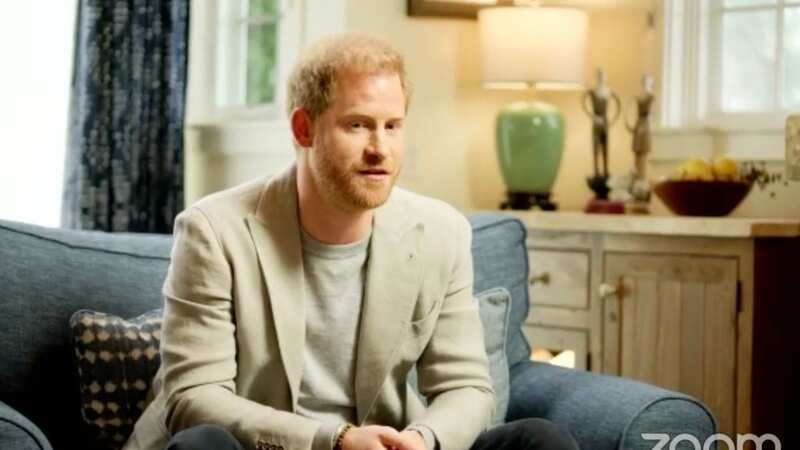 Prince Harry during the live chat with Gabor Maté (Image: Zoom)