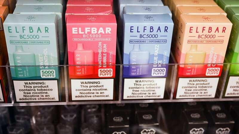 Elf Bar disposable vapes are very popular (file photo) (Image: AFP via Getty Images)