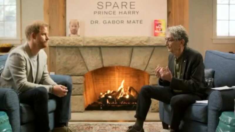 The two sat down in front of a fire for the live-streamed Q&A (Image: Zoom)