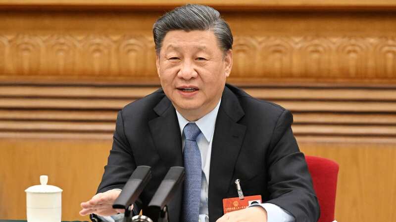 Chinese President Xi Jinping (Image: Xinhua/REX/Shutterstock)