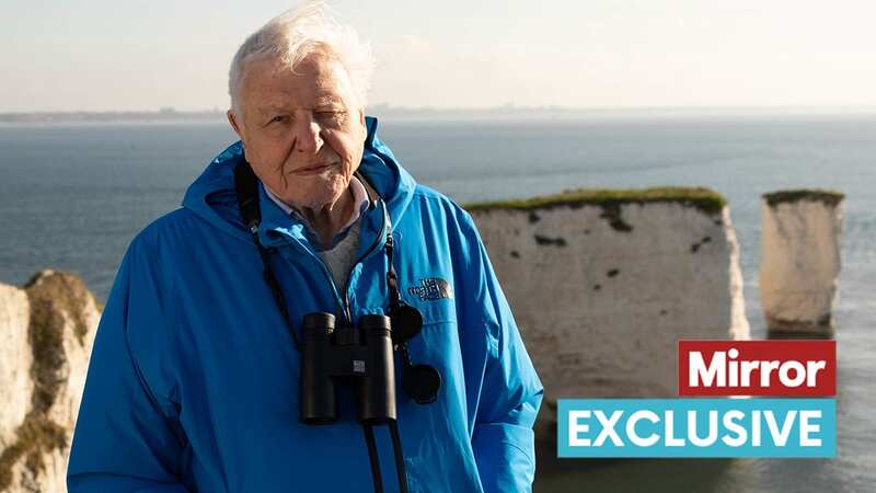 Sir David Attenborough introduces the Wild Isles series at dawn at Old Harry