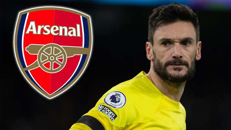 Hugo Lloris could be replaced in the transfer market (Image: Visionhaus/Getty Images)