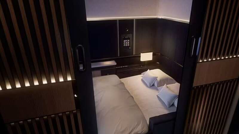 The suites offer an impressive level of privacy (Image: Lufthansa)