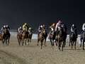 Newsboy's horse racing tips for Wednesday meetings, including Newcastle Nap qhidddiqdqiqruinv