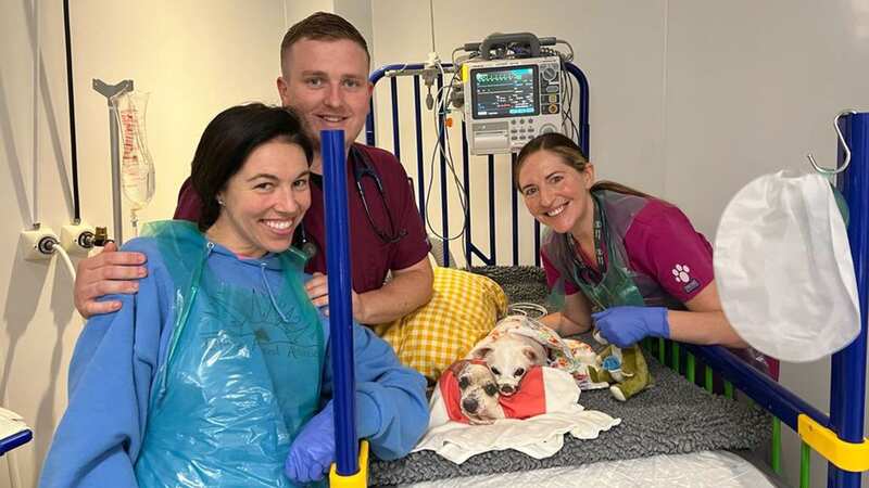 Hannah with the vets and Blanche, her Chihuahua dog, after her surgery (Image: hannaherganian / CATERS NEWS)