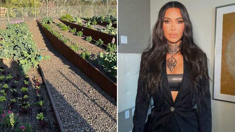 Kim Kardashian grows her own superfoods with fruit and vegetables in backyard