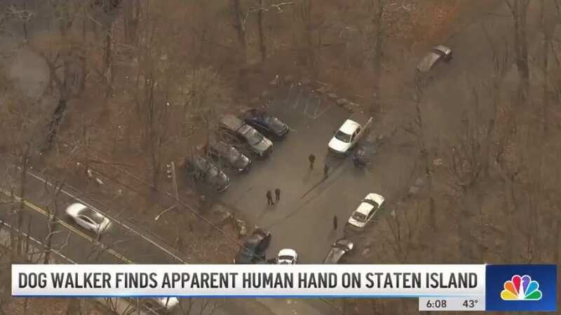 The human remains were found by a dog out for a walk (Image: NBC New York)
