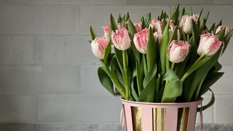 WOW! How gorgeous are these tulips from FLOWERBX in collaboration with Matilda Goad!