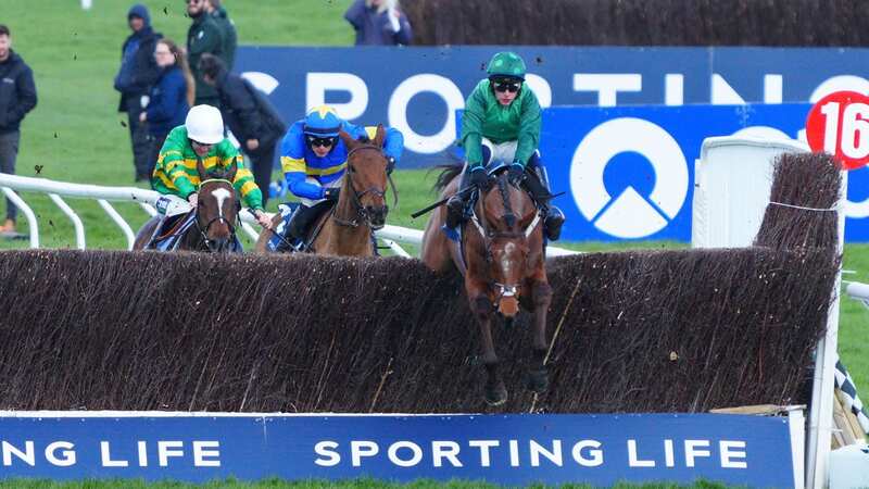 Dysart Dynamo (centre) approaching the final fence where he fell (Image: Javier Garcia/REX/Shutterstock)