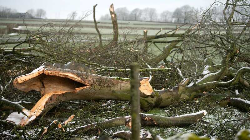 A storm caused devastation at Great Hucklow, Derbyshire this week (Image: Villager Jim / SWNS)