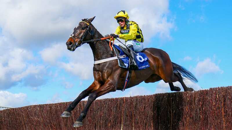 Shishkin is a red-hot favourite for the Ryanair Chase