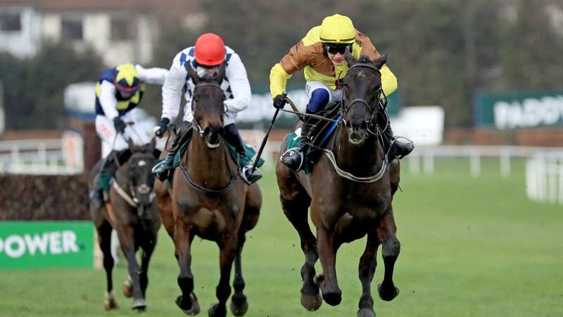 Galopin Des Champs (yellow silks) is the horse to beat in the 2023 Cheltenham Gold Cup (Image: PA)