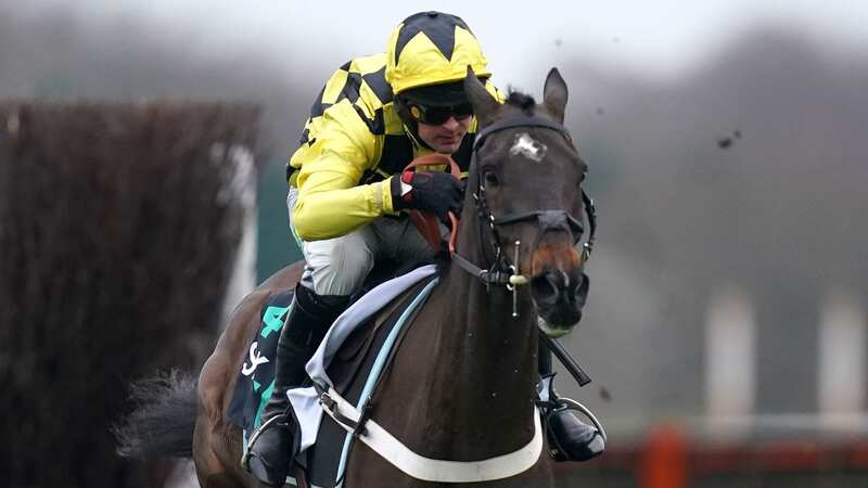 Another big day of racing lies ahead at Cheltenham with Shishkin (pictured) leading the betting in the Ryanair Chase (Image: PA)