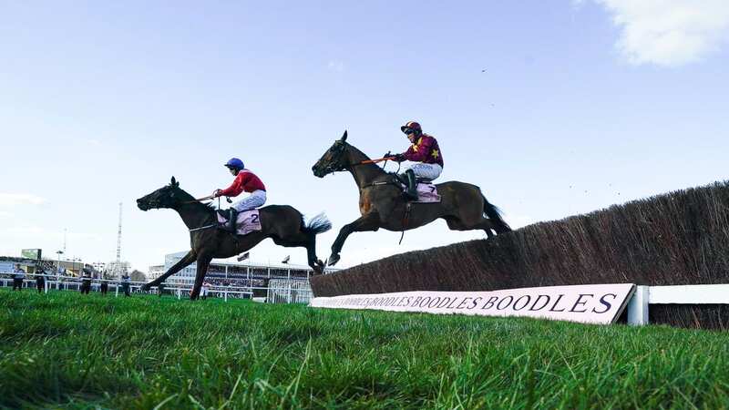 Hewick could earn his owner a fat profit at Cheltenham (Image: Getty Images)