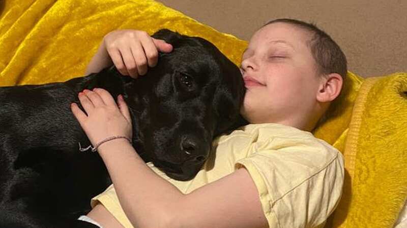 Labrador Beauty makes Lily smile through the toughest times (Image: Collect)