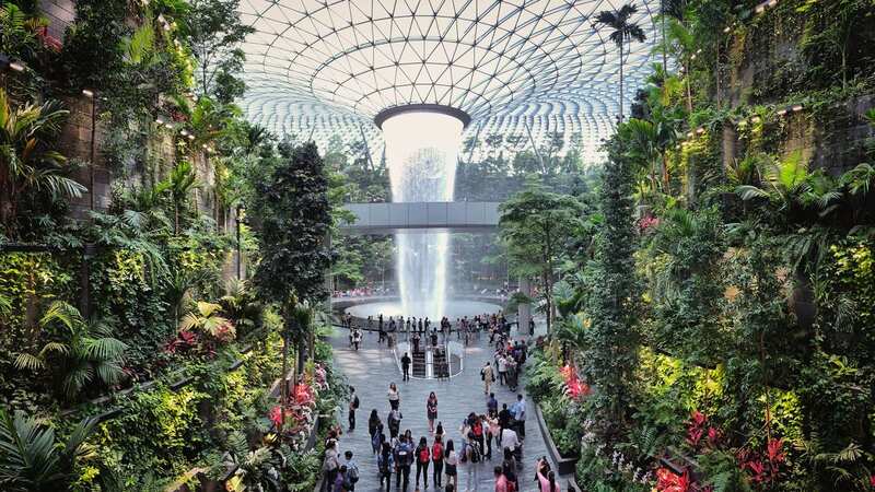 Changi Airport has some seriously cool features for families (Image: Getty Images)