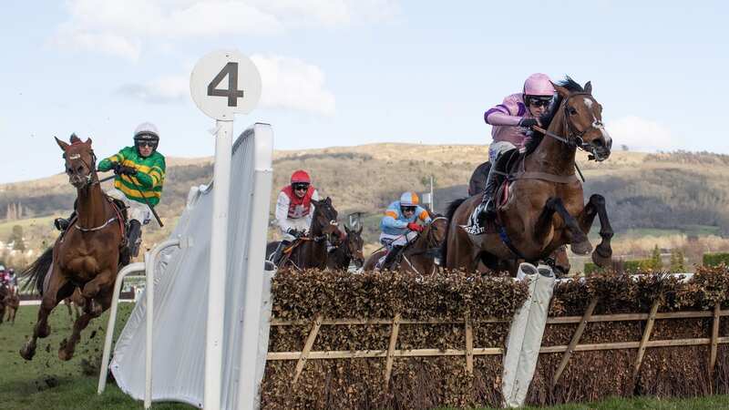 Mark Walsh on Corbetts Cross hits the wing of the last hurdle and falls (Image: Getty)