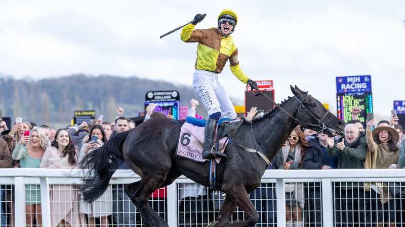 Paul Townend on Galopin Des Champs celebrates winning the Boodles Cheltenham Gold Cup (Image: (Photo by Sam Mellish/Getty Images))