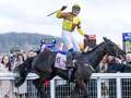 Ladbrokes Gold Cup in Punchestown will be Galopin Des Champs' next assignment