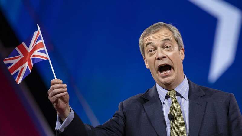 Ex-UKIP leader Nigel Farage (Image: Getty Images)