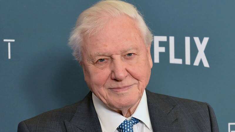 Sir David Attenborough is set to front a new series covering wildlife on his doorstep in Britain (Image: GETTY)