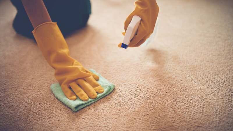 A woman shared a product that got a two year stain out of her carpet (Image: Getty Images/iStockphoto)