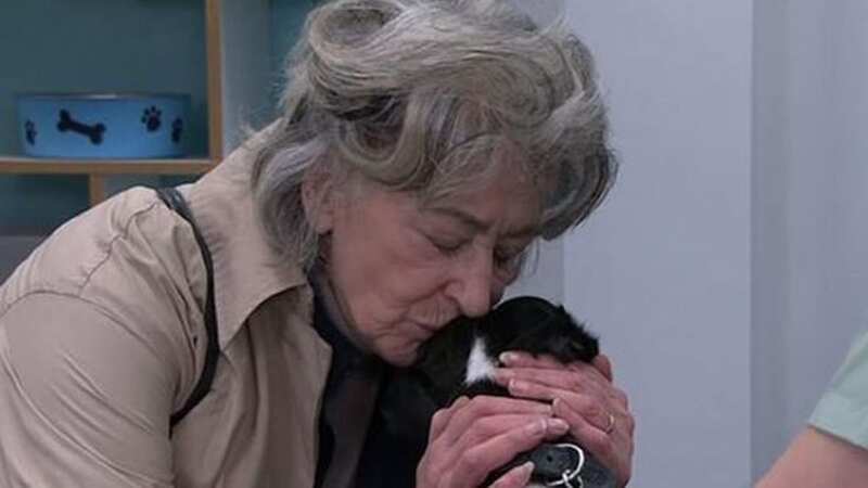 Corrie fans work out truth behind death of Evelyn dog