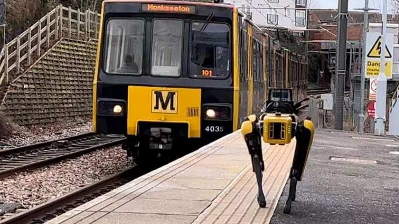 Bernard is one of the most advanced canine robots in development (Image: University of Sunderland)