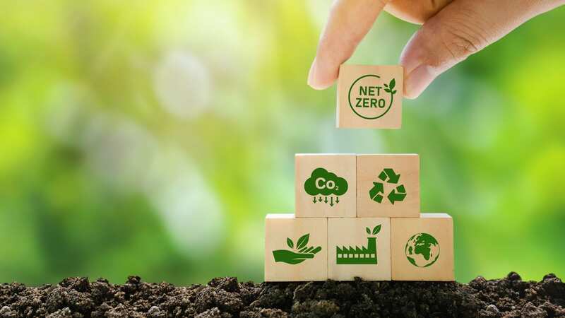 One in five SMEs are making their net-zero targets a core business strategy for 2023 (Image: Sakorn Sukkasemsakorn/Getty Images)