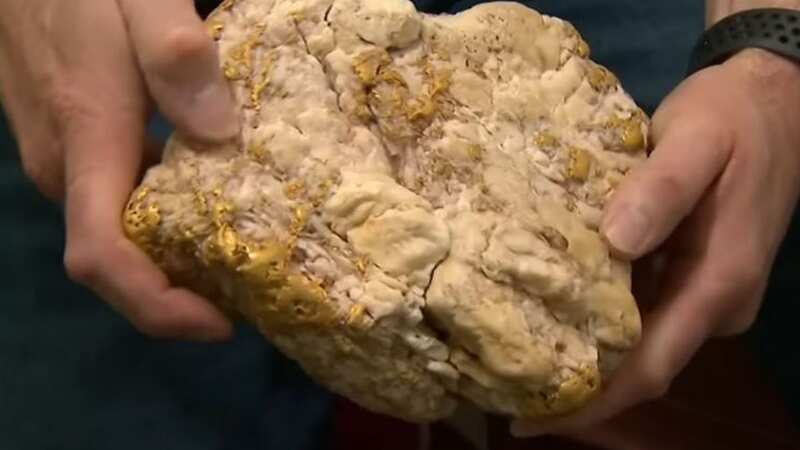 Amateur metal detectorist find massive nugget of gold work £200K (Image: 9 News)
