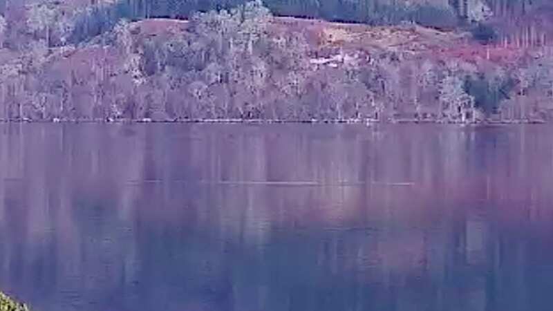 Loch Ness Monster 