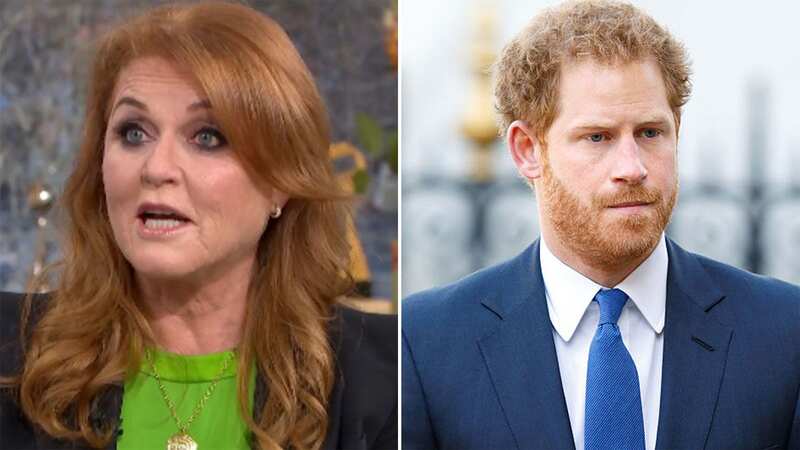 Sarah Ferguson compared her novel to Harry