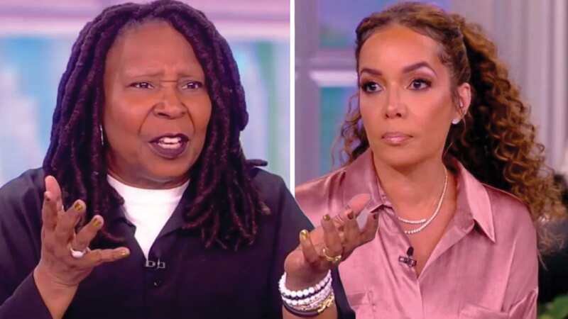 The View fans convinced Whoopi Goldberg is feuding with her co-host
