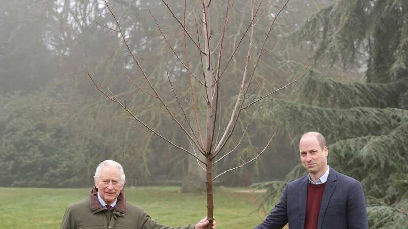 King Charles and Prince William planted a tree to mark the end of The Queen
