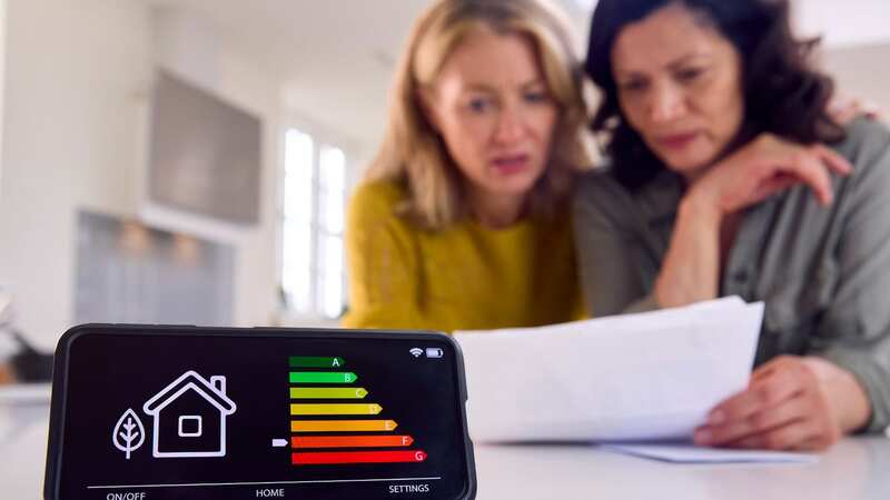 Which? has called for the Government to introduce a social energy tariff as soon as possible (Image: Getty Images/iStockphoto)